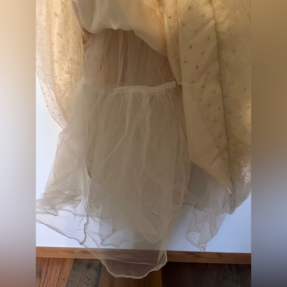 Gunne Sax Princess Tulle Glitter Prom Dress Blush Pink Butterfly Corset Size 10 - Picture 3 of 8